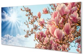 Üvegképek Magnolia ég nap 100x50 cm 4 fogas