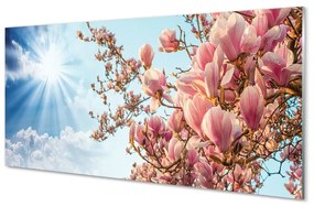 Üvegképek Magnolia ég nap 100x50 cm