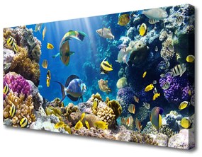 Vászonkép falra Barrier Reef Nature 100x50 cm