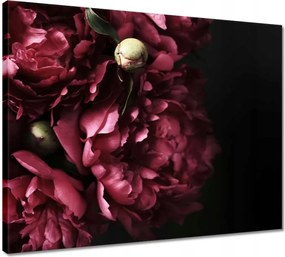 Vászonkép 50x40 Gyönyörű lila bazsarózsa