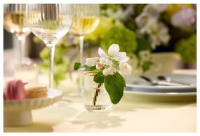 Röviditalos pohár szett 4 db-os 60 ml Palermo – Lyngby Glas