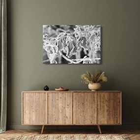 Kép - Fagyott levelek, fekete-fehér (90x60 cm)