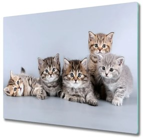 Üveg vágódeszka öt macskák 60x52 cm