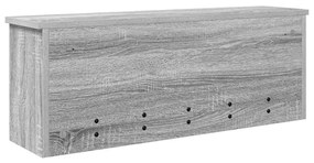 Fali Kabáthorog polcokkal Szürke sonoma 80 x 20 x 30 cm Faanyag
