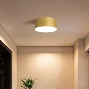 BRILAGI -LED Fürdőszobai mennyezeti lámpatest FORIS LED/20W/230V átmérő 15 cm aranyszínű IP44