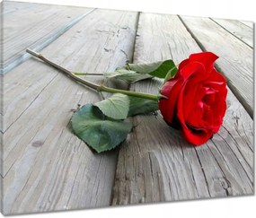 Vászonkép 80x60 Rózsa a deszkákon