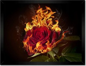 Poszterek keretben 40x30 Vörös lángoló rózsa