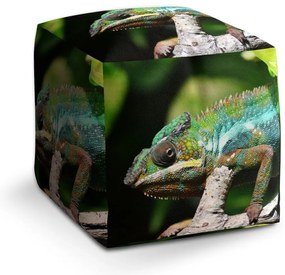 Cube zsámoly kaméleon, zöld