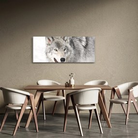 Kép - Farkas a természetben (120x50 cm)