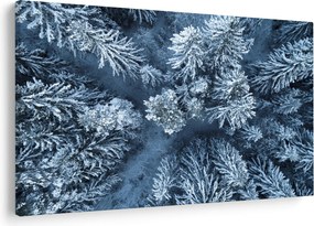 Kép - Havas erdő (90x60 cm)