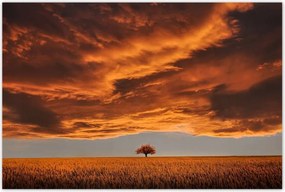 Poszterek 120x80 Narancssárga égbolt