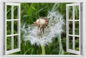 Poszterek 60x40 Pitypang Virág Virágok