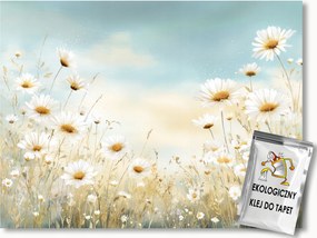 Fotótapéta Flizelina Természet Rét Mező Virágok Margaréták Boho 350x250 ragasztó