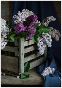 Poszterek 70x100 Doboz nélkül