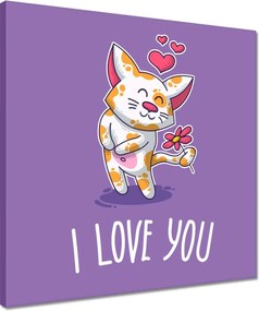 Vászonkép 40x40 Cica