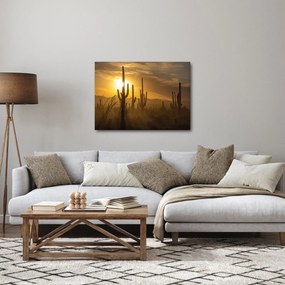 Kép - Saguaro kaktuszok (70x50 cm)