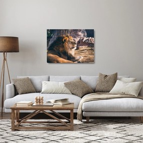 Egy fekvő oroszlán képe (üvegen) (70x50 cm)