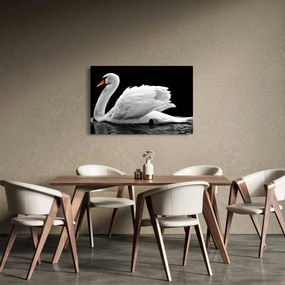 Fekete-fehér hattyúk képe (90x60 cm)