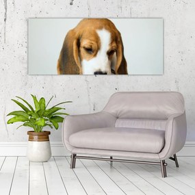 Beagle képe (120x50 cm)