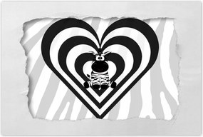 Poszterek 60x40 Zebra csíkos