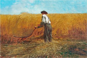 Flizelin fotótapéta Flizelin Design Aratás a napfényben 104x70 Ragasztó