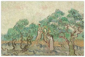 Kép - Vincent van Gogh, The Olive Orchard, reprodukciók (90x60 cm)