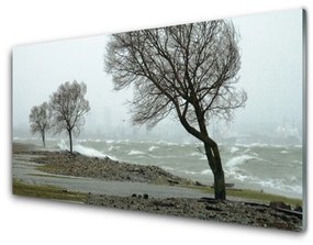 Üvegkép falra Sea Storm Waves 100x50 cm 4 fogas