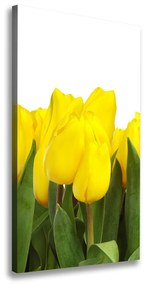 Vászonkép nyomtatás Sárga tulipánok ocv-2665979