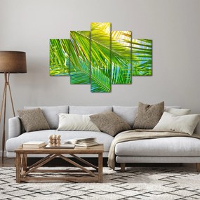 Kép - Pálmalevelek (150x105 cm)