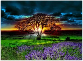 Poszterek 135x100 Az élet fája