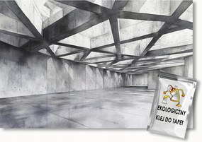 Fotótapéta Flizelina Építészet 3D Folyosó Hall Beton 416x290 ragasztó