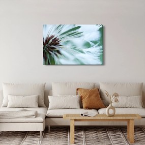 Kép - Egy virág részlete (90x60 cm)