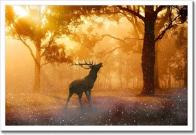Poszterek keretben 60x40 Szarvas az erdőben