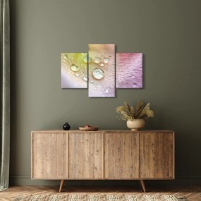 Kép - Harmatcseppek (90x60 cm)