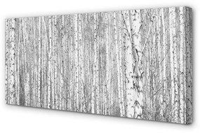 Canvas képek Fekete-fehér fa erdő 125x50 cm