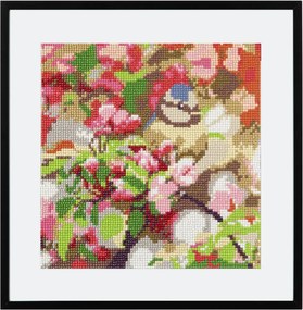Állatos Bird gyémántszemes kirakó 30x30 cm
