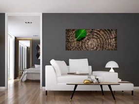 Kép egy levél a fatörzsön (120x50 cm)