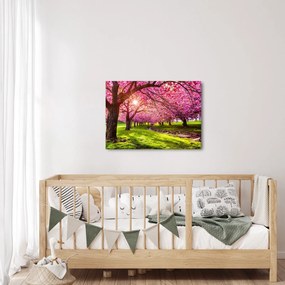 A virágzó cseresznye képe, Hurd Park, Dover, New Jersey (70x50 cm)