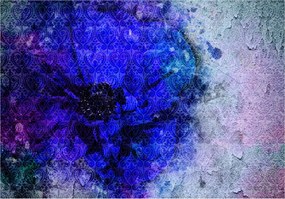 Fotótapéta Kék pipacs Vintage Absztrakt Repedéshatás 250x175 +ragasztó