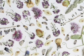 Dekoratív fotótapéta Falra Könnyű Felszerelés Szárított virágok 104x70 Ragasztó