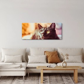 Fekete macska képe (120x50 cm)
