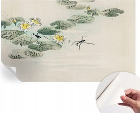 Öntapadós fotótapéta Nappaliba és Hálószobába Csendes víz 416x254