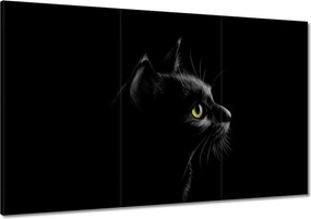 Vászonkép 120x80 Fekete cica macska