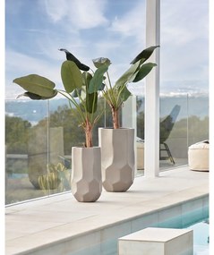 Pálma műnövény (magasság 160 cm) Baa – Kave Home