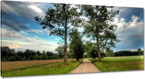 Festmények 115x55 Vidéki út