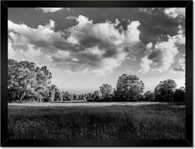 Poszterek keretben 40x30 Vidéki réti táj