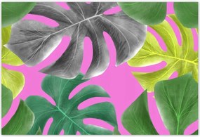 Poszterek 200x135 Levelek Monstery