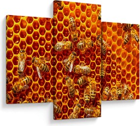 Kép - Méhsejtes (90x60 cm)