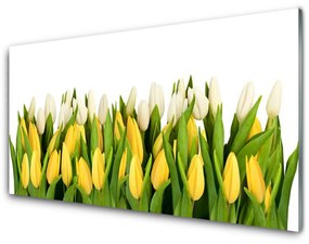 Akrilüveg fotó Tulipán virágok Plant 120x60 cm