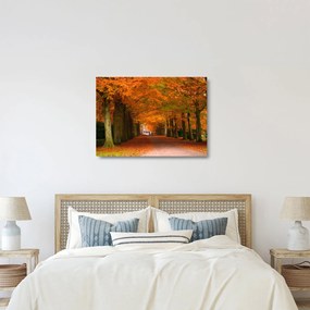 Üveg kép - A Avenue of fák ősszel (70x50 cm)
